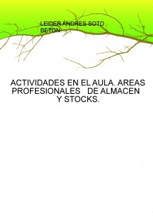 ACTIVIDADES EN EL AULA. AREAS PROFESIONALES   DE ALMACEN   Y STOCKS