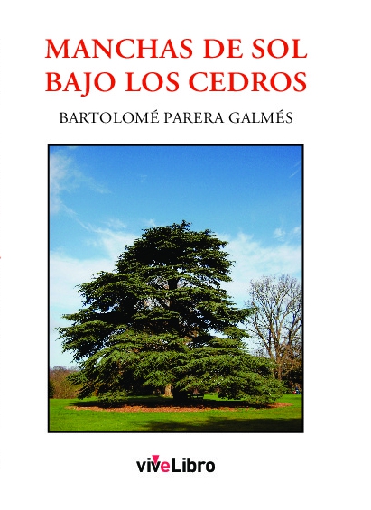 Manchas de sol bajo los cedros