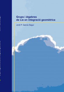 Grups i àlgebres de Lie en integració geomètrica