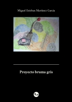 Proyecto bruma gris