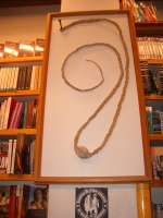 LIBRERIA LA FONA